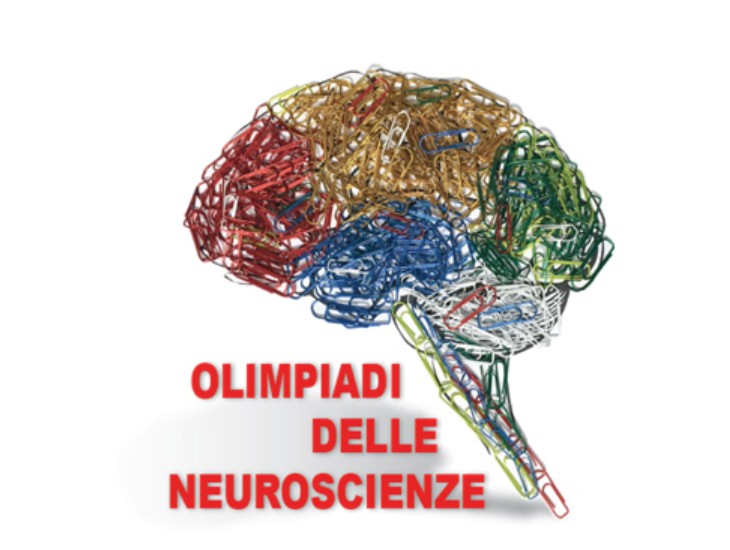 olimpiadi neuroscienze